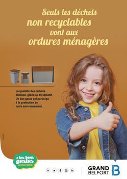 Bac brun : collecte des ordures ménagères